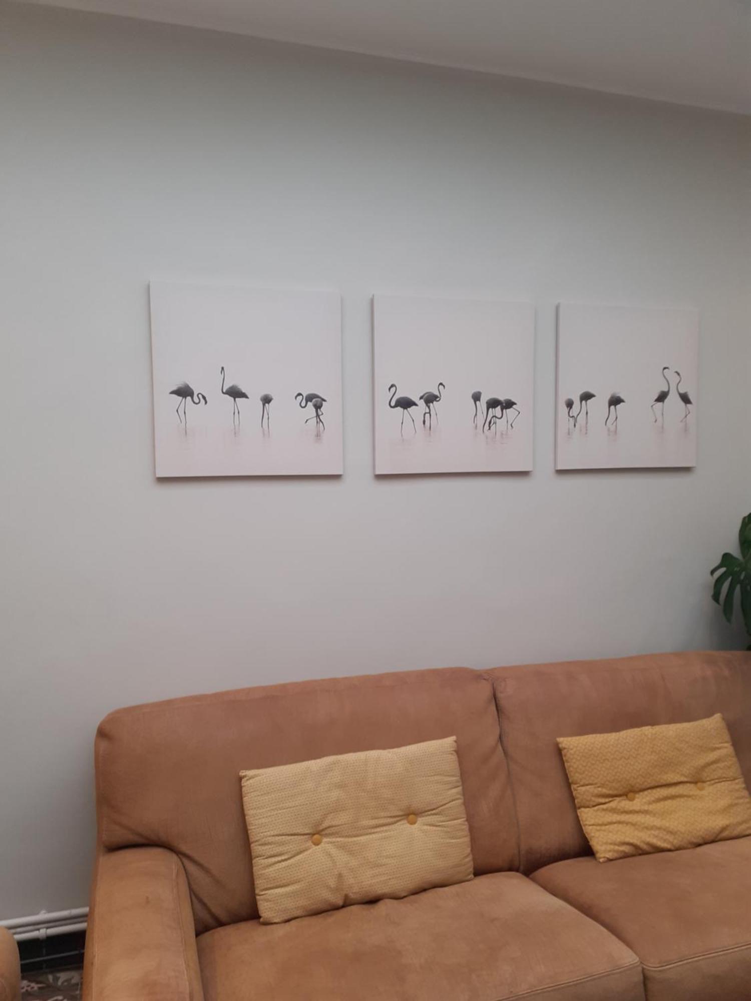 La Colombe 43 Villa Steenvoorde ภายนอก รูปภาพ